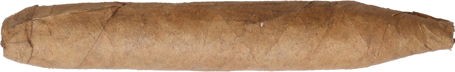 De Olifant, De Olifant Knakje Short Perfecto XO, 