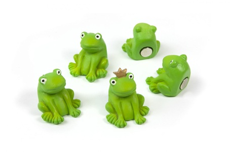 Trendform, Magnete FROG, trendform - Magnete FROG 5er Set grün, One Size, Grün