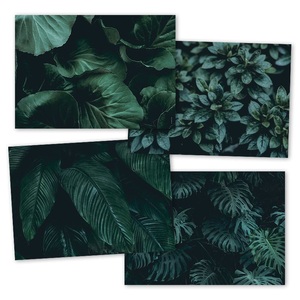 undefined, Papiertischset Deep Green, 