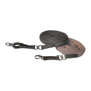 Waldhausen Longierleine Gurtband - braun