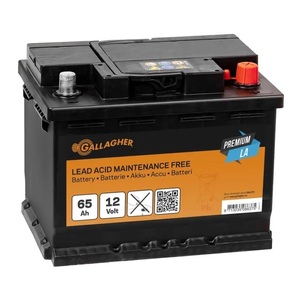Gallagher, Gallagher Weidezaunakku 12V/65Ah Premium LA, Gallagher Weidezaunakku 12V/65Ah Premium LA