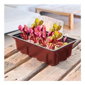 Windhager, WINDHAGER MINI-GEWÄCHSHAUS, Windhager Zimmer-Treibhaus mit 8 Quelltabs | 19 × 11 × 6 cm