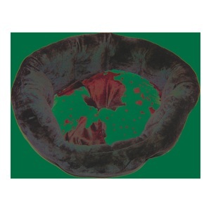Josty, Josty Hunde- und Katzenbett, cow / Plüschbett mit Kissen, 