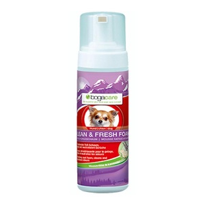 bogar, bogar Fellschaum Clean & Fresh Foam, Bogadent bogacare CLEAN & FRESH FOAM Hund