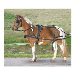 Waldhausen, Waldhausen Einspänner Synthetikgeschirr Warmblut und Vollblut, 