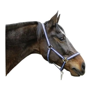 KERBL Nylonhalfter Hippo - marine/hellblau
