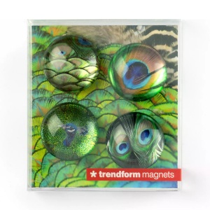Trendform, Trendform Superstarke Magnete Superstarke Magnete, Trendform EYE Magnete PEACOCK, EY2020 , (4er Set)