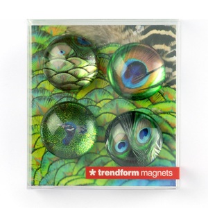 Trendform, Trendform Superstarke Magnete Superstarke Magnete, Trendform EYE Magnete PEACOCK, EY2020 , (4er Set)