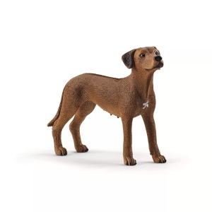 Schleich, Schleich 13895 Rhodesian Ridgeback, schleich® 13895 Farm World ? Rhodesian Ridgeback