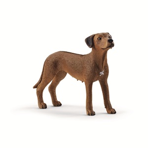 Schleich, Schleich 13895 Rhodesian Ridgeback, schleich® 13895 Farm World ? Rhodesian Ridgeback