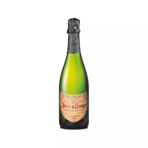 Juvé y Camps, Juvé y Camps Reserva de la Familia Cava Brut Nature Gran Reserva 2013, Brut Nature Gran Reserva, Wein Sortiment, 2018, 75 cl