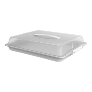 Rotho, Rotho JOHN Kuchenbehälter Partybutler, Rotho Partybutler kunststoff , 1748301100 , 39x9.8 cm , glänzend,glänzend , lebensmittelecht, Tragegriff , 003294035901