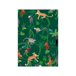 STEWO INTERNATIONAL, Geschenkpapier Geschenkpapier, STEWO INTERNATIONAL - Geschenkpapier, 70X300CM, Grün