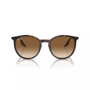 Rayban, Ray-Ban RB2204 Brown on havana M, RAY-BAN RB2204 Unisex-Sonnenbrille Vollrand Panto Acetat-Gestell, braun