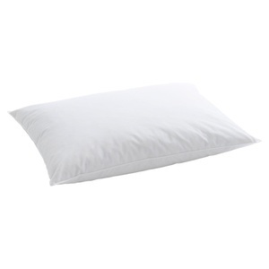 Billerbeck, Billerbeck 1-Kammer-Federkissen 60X90Cm, 