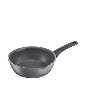 Tefal, Mineralia Force Multipfanne Ø 22cm, 