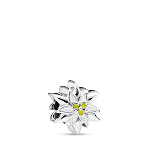 Pandora, Pandora Charm ONE Size, Pandora Edelweiss Flower Charm Damen