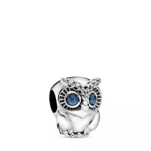Pandora, Pandora Charm ONE Size, Pandora Sparkling Owl Charm Damen