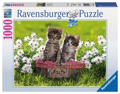 Ravensburger, Ravensburger Puzzle Picknick auf der Wiese, 1000 Teile, 