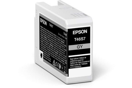 Epson, Epson Tintenpatrone T46S700 gray, Epson Tintenpatrone, grau, SureColor SC-P700, T46S700, (26ml)