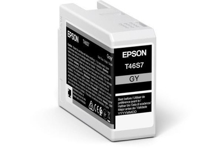 Epson, Epson Tintenpatrone T46S700 gray, Epson Tintenpatrone, grau, SureColor SC-P700, T46S700, (26ml)