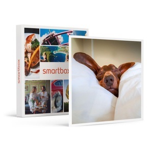 SMARTBOX, Urlaub mit dem Hund für 2 in der Schweiz, Urlaub mit dem Hund für 2 in der Schweiz