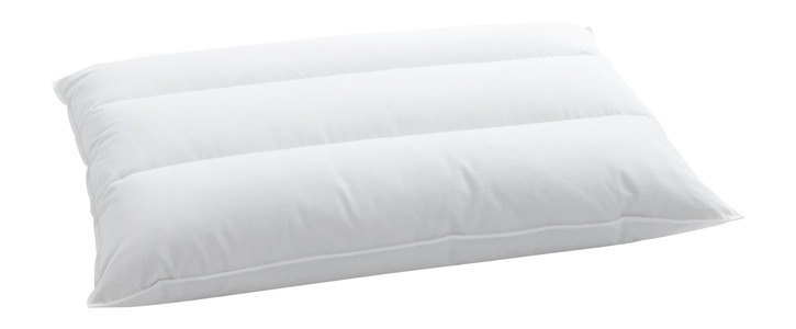 Billerbeck, billerbeck - Kopfkissen TERZO - Baumwolle - weiss - 65/65 cm, billerbeck Bauchschläferkissen »Terzo 050«, Füllung: 90% neue, europäische Gänsedaunen, silberfarben, 10% Federchen, VSB-Norm, Bezug: 100% Baumwolle, (1 St.)