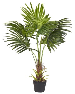Beliani, Beliani Fan Palm Kunstpflanze, 
