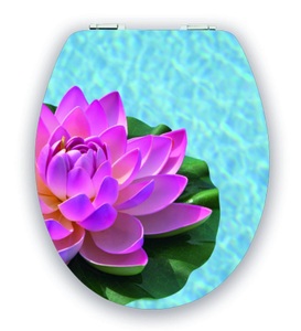 Diaqua, DiAqua WC-Sitz Brillant Slow-Mo. Lotus, diaqua Brillant Lotus WC-Sitz