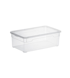 Rotho, Rotho Clear Box Lady Shoe, ROTHO Clear Box 1708100096 5l 33x19x11cm transparent
