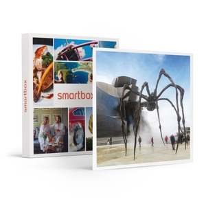 SMARTBOX, Eintritt zum Guggenheim-Museum in Bilbao und 2-stündige Tour zur baskischen Küste für 2 Personen, Eintritt zum Guggenheim-Museum in Bilbao und 4-stündige Tour zur baskischen Küste für 2 Personen