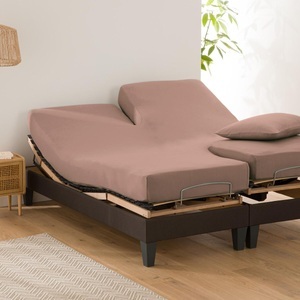 LA REDOUTE INTERIEURS, Uni-Fixleintuch für verstellbares Doppelbett Scenario Uni-Fixleintuch für verstellbares Doppelbett Scenario, La Redoute Intérieurs - Fixleintuch Scenario für verstellbares Doppelbett, 180x200 cm, Braun