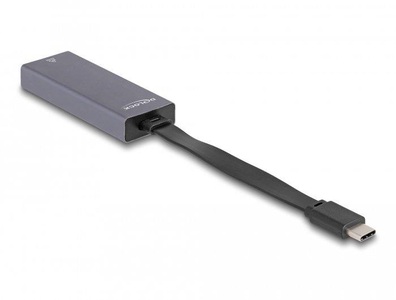 Delock, Delock Netzwerk-Adapter USB Typ-C - RJ45, 2.5 Gbps, Delock Netzwerk-Adapter USB Typ-C - RJ45, 2.5 Gbps