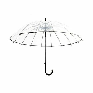 eStore, eStore Transparenter Regenschirm, eStore - Transparenter Regenschirm, 2 L