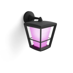 Philips, Philips Hue White and Color Ambiance Econic - Garten-Wandleuchte (Schwarz), Philips Hue Econic Wandleuchte (15W)