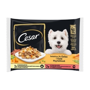 Cesar, Cesar Hundefutter Selektion in Gelee 4x100g, Cesar - Selection, 100g