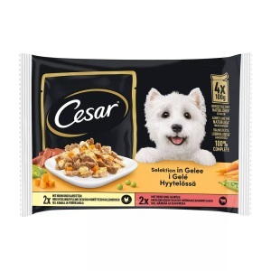 Cesar, Cesar Hundefutter Selektion in Gelee 4x100g, Cesar - Selection, 100g