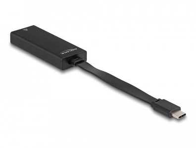 Delock, Delock Netzwerk-Adapter USB Typ-C ? RJ45, 1 Gbps, Delock Netzwerk-Adapter USB Typ-C ? RJ45, 1 Gbps