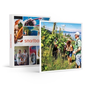 SMARTBOX, Weinwanderung mit Thurgauer Weinprobe und Apéro für 4 Personen, Weinwanderung mit Thurgauer Weinprobe und Apéro für 4 Personen