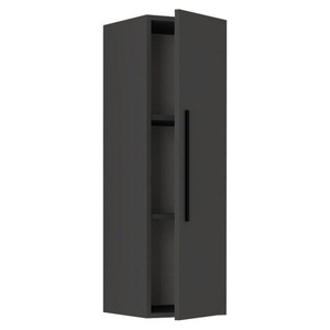 VCM, Holz Wandregal Hängeregal Wandschrank Klappschrank Arila L Senkrecht Holz Wandregal Hängeregal Wandschrank Klappschrank Arila L Senkrecht, VCM - Holzregal hängend | platzsparendes Regal Maße: H. 95 x B. 30 T. cm Elegantes Aufbewahrungsregal Bücherregal Wandboard -, One Size, Anthrazit