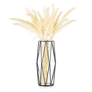 Alopini, Glasblumenvase mit geometrischem Metallregal, kristallklares Terrarium Pflanzgefäß Glasblumenvase mit geometrischem Metallregal, kristallklares Terrarium Pflanzgefäß, Alopini - Glasblumenvase mit geometrischem Metallregal, kristallklares Terrarium Pflanzgefäß, One Size, Schwarz