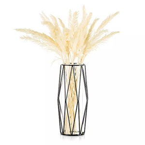Alopini, Glasblumenvase mit geometrischem Metallregal, kristallklares Terrarium Pflanzgefäß Glasblumenvase mit geometrischem Metallregal, kristallklares Terrarium Pflanzgefäß, Alopini - Glasblumenvase mit geometrischem Metallregal, kristallklares Terrarium Pflanzgefäß, One Size, Schwarz