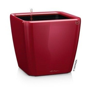 Lechuza, Lechuza - 3er-Set Blumenkästen mit Integriertem Bewässerungssystem Quadro Premium 43 LS - Rot, 