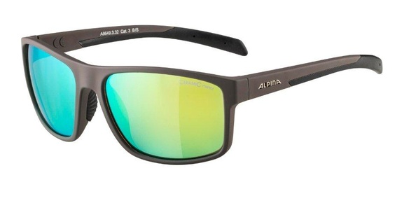 Alpina, Nacan I Herren Sonnenbrille, Alpina Nacan I Sportbrille grau
