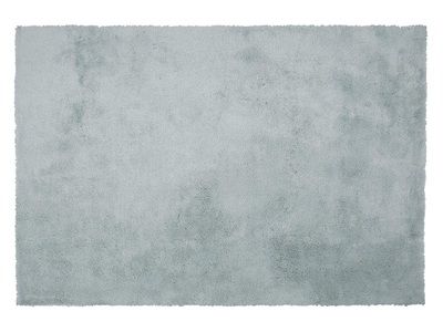 Beliani, Beliani Teppich mintgrün 140 x 200 cm Shaggy EVREN, 