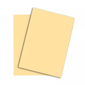 Papyrus, PAPYRUS Rainbow Papier FSC A4 88042276 80g, chamois 500 Blatt, Papyrus Rainbow Papier, A4, FSC, 80g, chamois, 88042276, (500 Blatt)