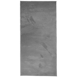 vidaXL, vidaXL Teppich OVIEDO Kurzflor Anthrazit 100x200 cm
