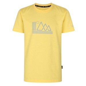 Dare 2b, Trailblazer Tshirt Jungen Gelb 128, 