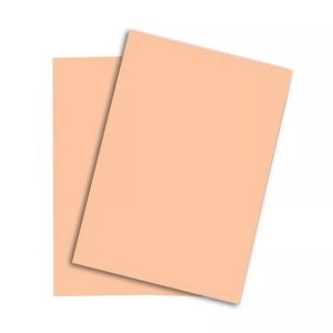 Papyrus, PAPYRUS Rainbow Papier FSC A3 88042503 120g, lachs 250 Blatt, Papyrus Rainbow Papier, A3, FSC, 120g, lachs, 88047651, (250 Blatt)