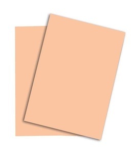 Papyrus, PAPYRUS Rainbow Papier FSC A3 88042503 120g, lachs 250 Blatt